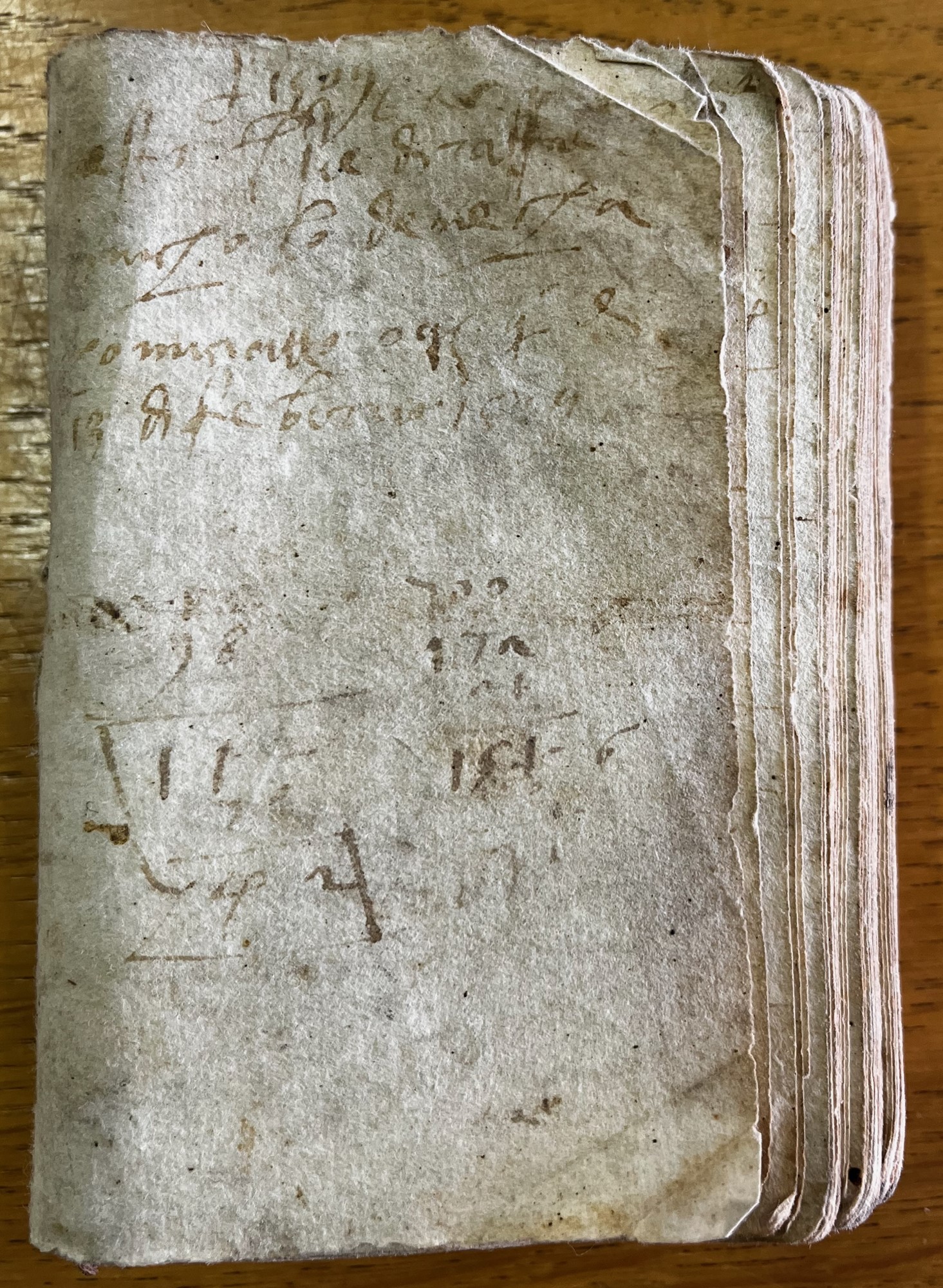 Raffaello denari spesi e ricevuti alla giornata